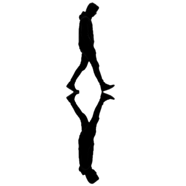 Daily Gravity